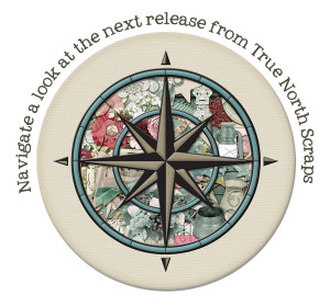 2013-03-08_TNS-Whisper-Sneak-Peek