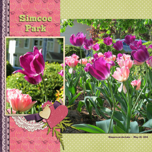 2013-05-25_LO_Simcoe-Park-1