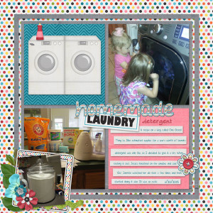 2013-07-03_LO_Laundry-Detergent