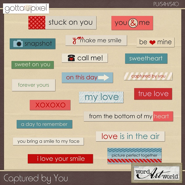 GGI0214_capturedbyyou_ws