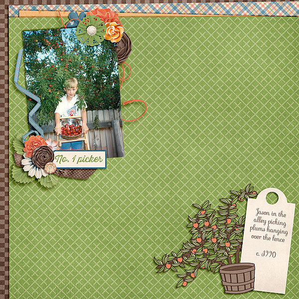2014-07-10_LO_Jason-Picking-Plums