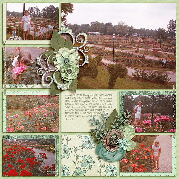 2015-01-15_LO_1985-Tyler-Rose-Garden-2