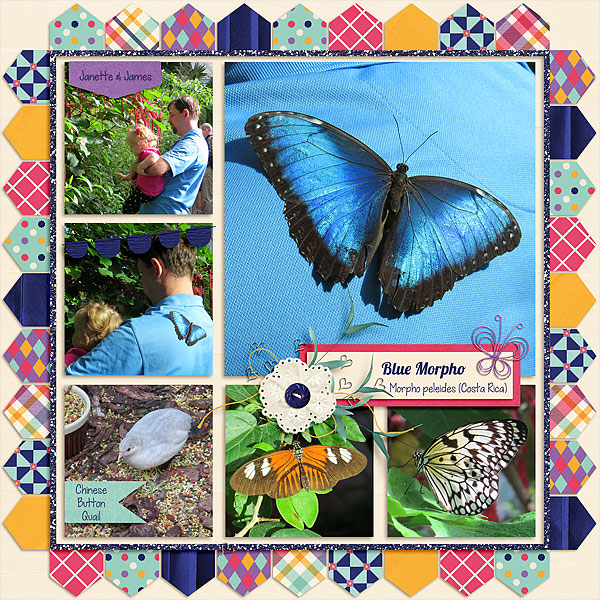 2016-05-01_LO_Key-West-Butterfly-and-Nature-Conservatory-3