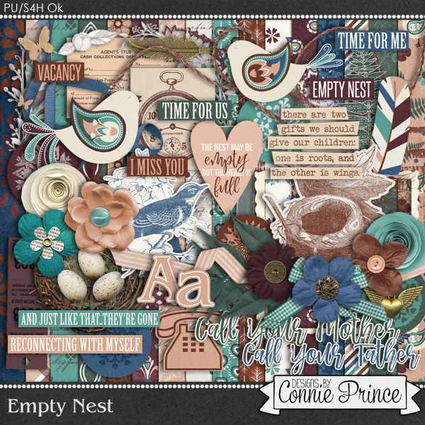 cap_emptynestKit