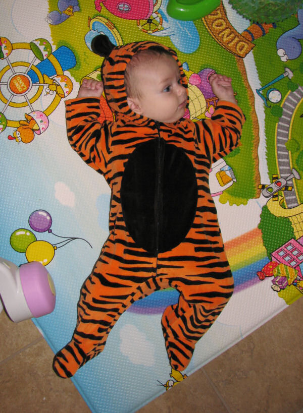 Jack the Tiger