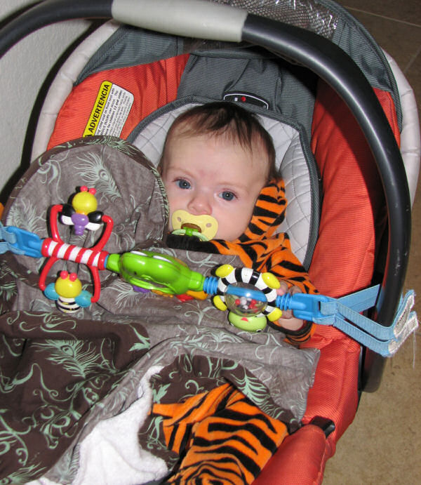 A Tired Tiger