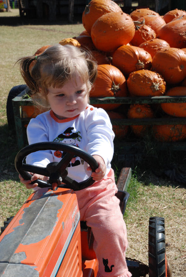 "I take my pumpkin pulling seriously."