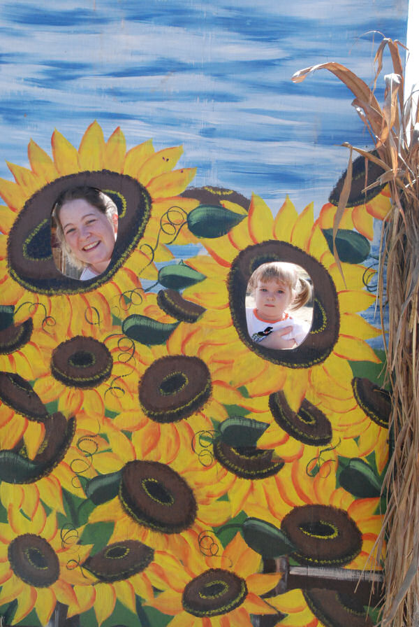 Flower Heads