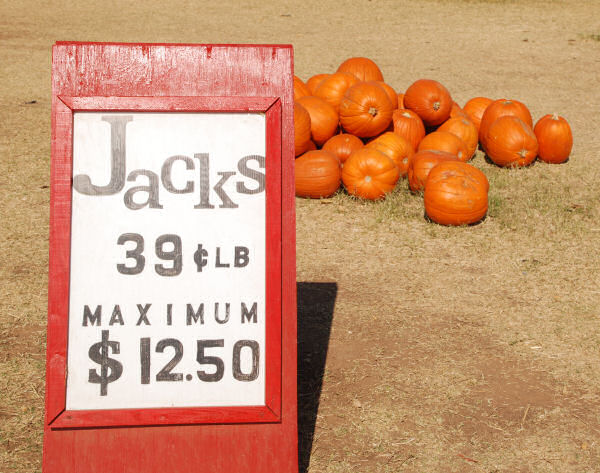 Pumpkins