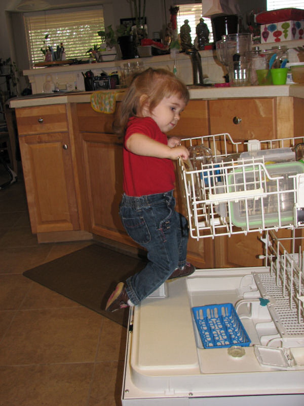 Climbing in the Dishwasher, 1/6/11