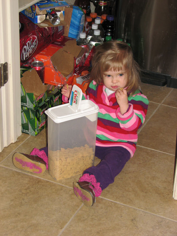 Eating Chex Straight From the Container, 1/12/11