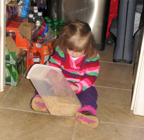 Hand in the Cereal Box, 1/12/11