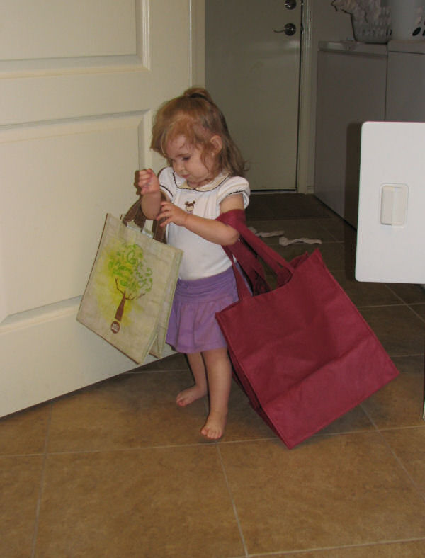 Carrying Empty Grocery Bags, 2/22/11