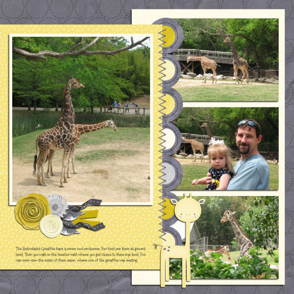 Giraffes LO