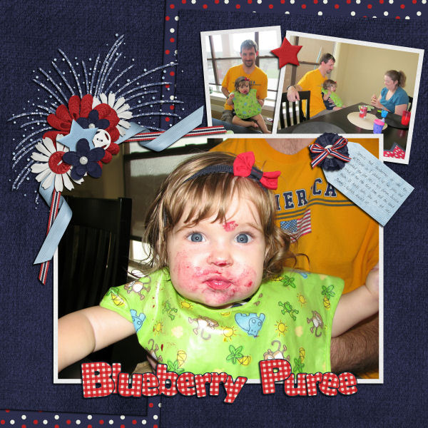 Blueberry Puree