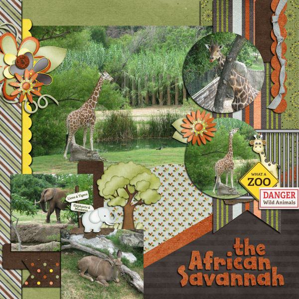 the African Savannah